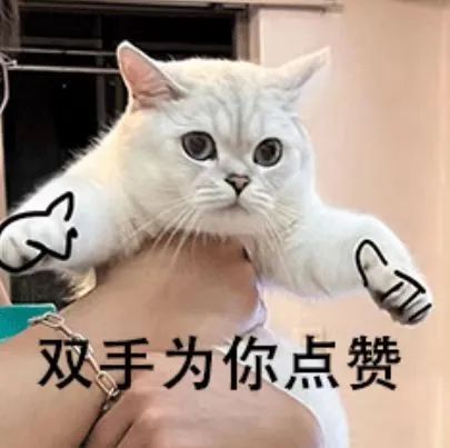 亚游集团·ag8(中国)官网-只為非同凡享